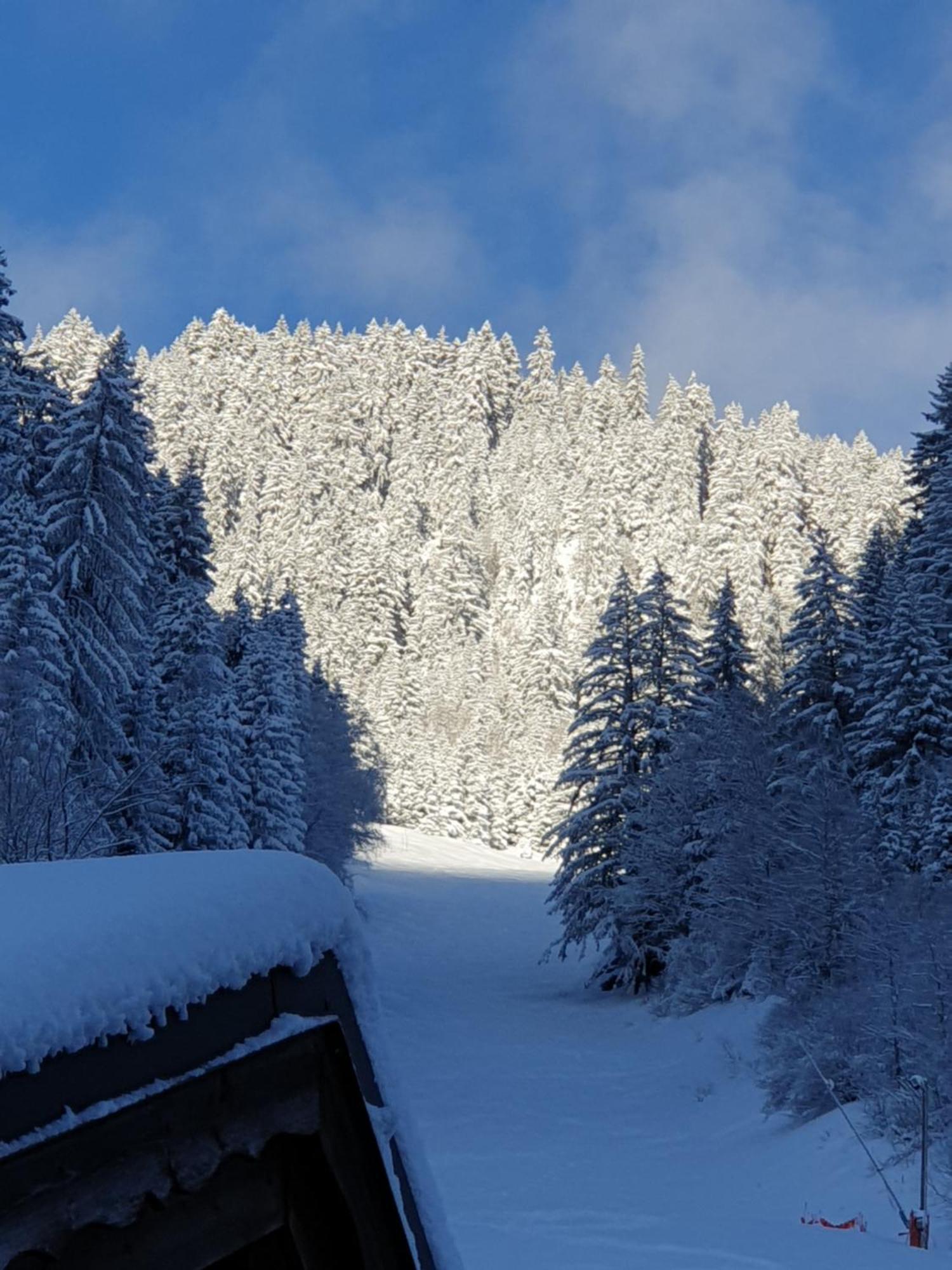 Chalet Les Avernes - Champagny En Vanoise, Domaine La Plagne Paradiski 外观 照片