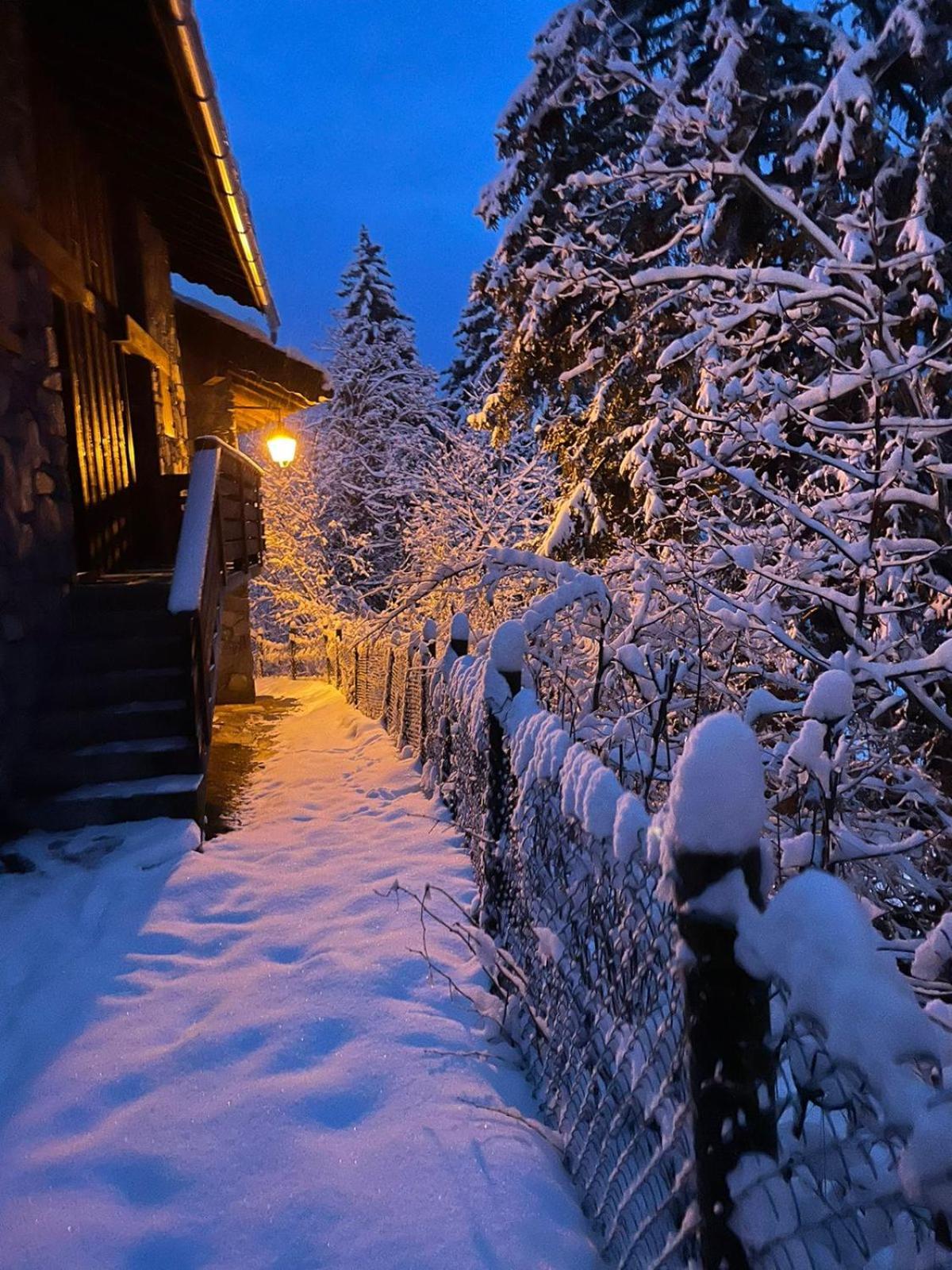 Chalet Les Avernes - Champagny En Vanoise, Domaine La Plagne Paradiski 外观 照片